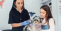 Anämie aufgrund vergrößerter Blutzellen bei Hunden