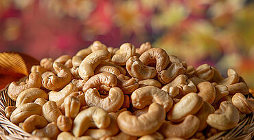 Dürfen Hunde Cashews fressen