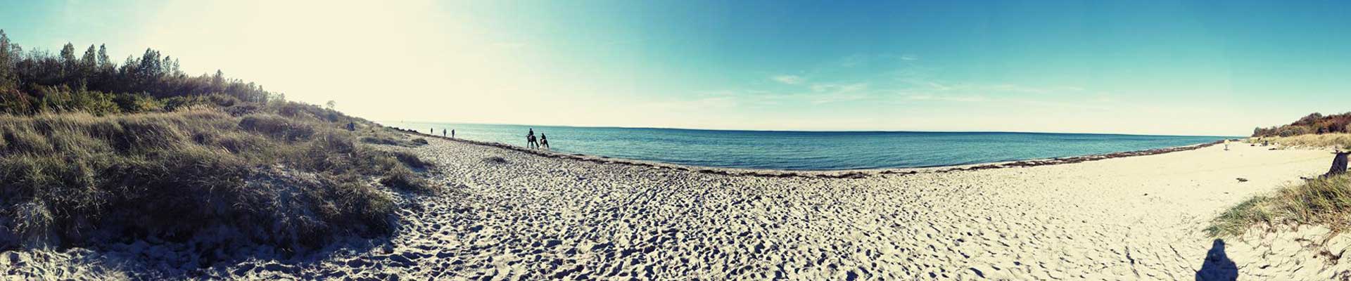 Urlaub mit unserem Hund Leon auf der Insel Poel