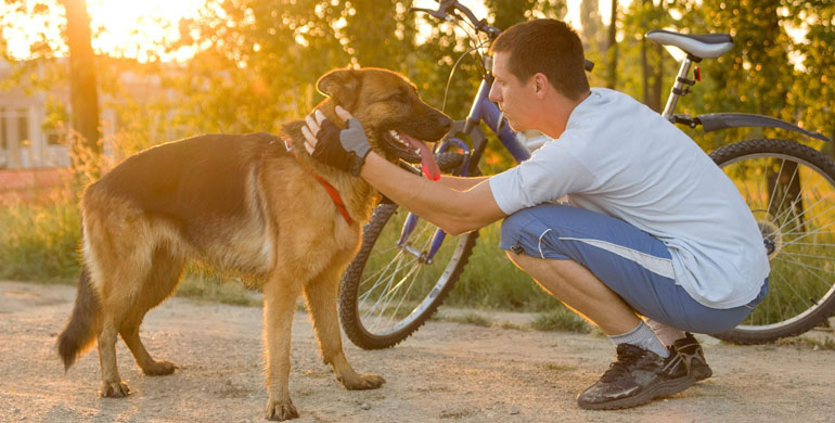 Radfahren mit Hund